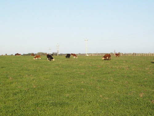 Campo En Venta En La Barra