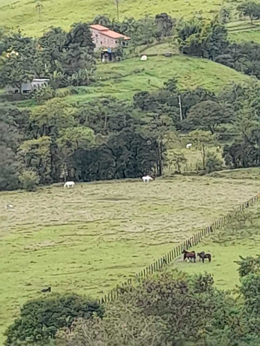 Imagem 12 de 14 de A26- Compre Seu Terreno Comigo
