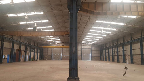 Imagen 4 de 30 de Nave Industrial - Platanos
