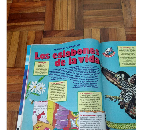 Revista Billiken N°3931 15 De Mayo De 1995 Nace La Patria (Usado)