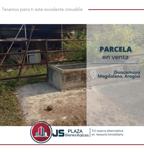Imagen 4 de 7 de Parcela En Venta Magdaleno Aragua 04241408770