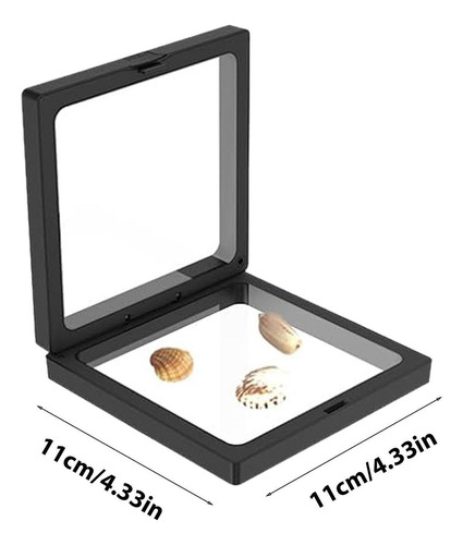 Vitrina Con Forma De Concha Marina, 5 Unidades, Cajas Decora