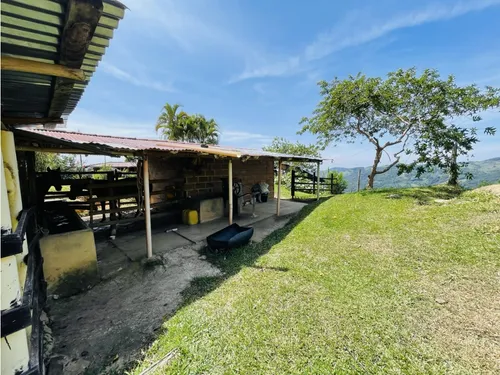 Se Vende Finca Productiva En San Roque, Antioquia.