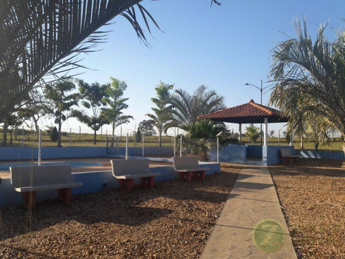 Imagem 15 de 30 de Venda: Ótima Propriedade Rural Entre Agudos-bauru - Si00006