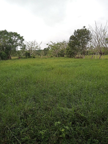 For Sale Finca Ganadera En Monte Plata Hatillo Acepto Permuta Del Cincuenta Porciento Recibo Bitcoin 