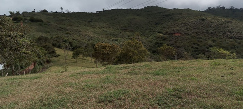 Restrepo, 90 Plazas. Finca Ganadera En Venta, Lomas Amenas, 1 Hectárea Sembrada En Limón Tahití.