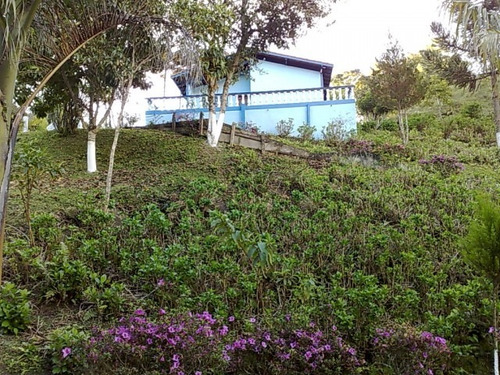 Imagem 2 de 4 de Oportunidade Chácara Em Santo Antonio Do Pinhal - Cs330