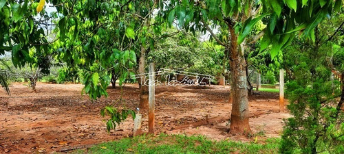 Chácara Estilo Sítio No Campos De Boituva Em Boituva. Pomar, Piscina, Churrasqueira. - Ch00582 - 69435662