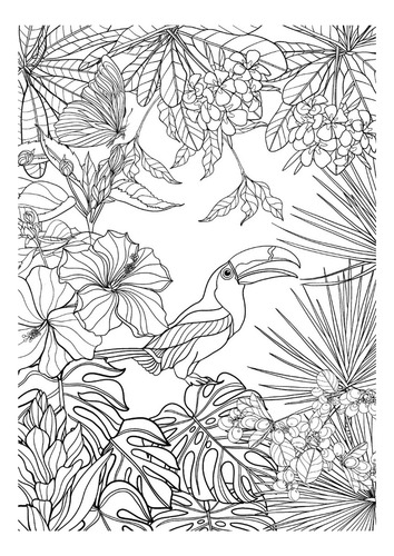 Exotic Jungle | Libro Anillado Colorear Pintar Fibra | Thoc