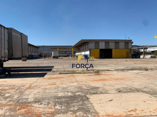 Área Para Alugar, 4650 M² - Cumbica - Guarulhos/sp - Ar0016