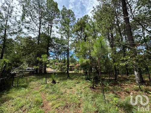 Venta Terreno 0 Ambiente Chijiltec (san Isidro)