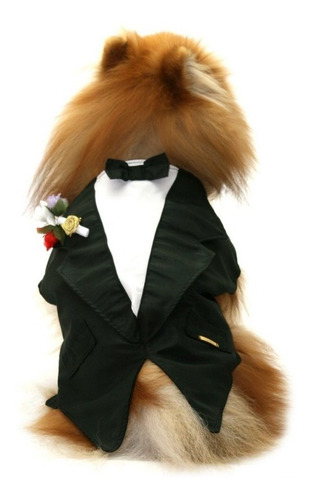 Imagem 6 de 9 de Roupa De Cachorro Ou Gato Para Casamento Terno Fraque Social