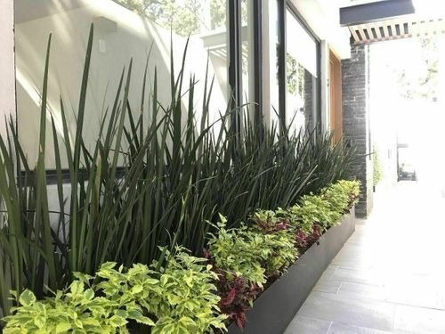 Imagen 10 de 13 de Casa En Venta En Lomas De Vista Hermosa