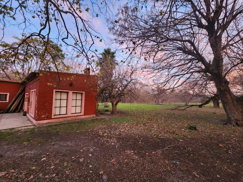 Imagen 8 de 8 de Alquilo Campo Ganadero Sobre Ruta 11 Con Casa Y Mejoras, 15 Min Del Centro De La Plata.