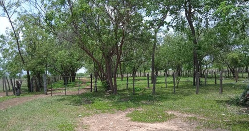 Imagen 3 de 9 de Altagracia De Orituco, Sector Lezama De Orituco Código: Att-102
