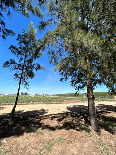 Imagen 12 de 25 de Lotes Terrenos En Venta Barrio Cerrado San Fermín Zona Oeste
