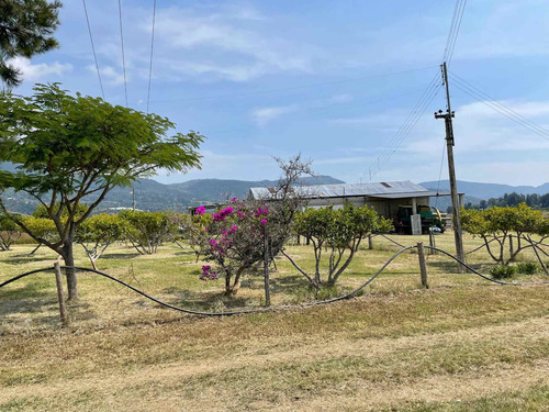 Imagen 8 de 13 de Lotes Campestres De 1000 Mts En Zumpahuacan