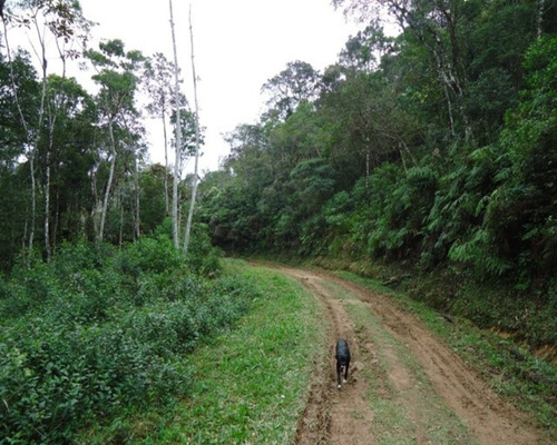 Imagem 5 de 13 de Sitio Em Juquitiba Sp; Sitio À Venda Juquitiba; - 251 - 32982557