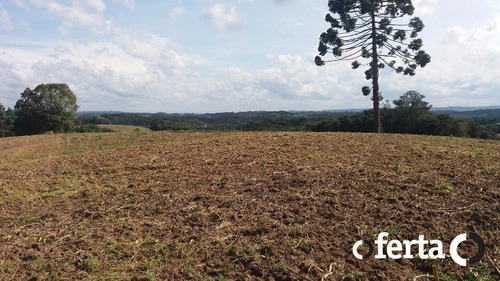Imagem 6 de 11 de Chacara - Formigueiro - Ref: 71 - V-71