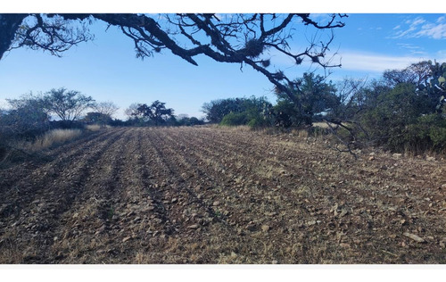 Terreno En Venta En Palmillas, San Juan Del Río, Querétaro