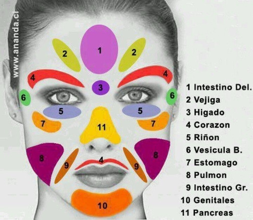 Imagen 3 de 10 de Maderoterapia Y Ventosas Con Productos 8 Maderas,ventosas 6