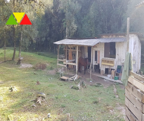 Imagem 4 de 30 de Chácara Em Cai De Baixo - Ch00088 - 34982990
