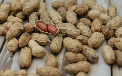 Semilla De Cacahuate Para Semprar Con Cascara 1 Kg Natural