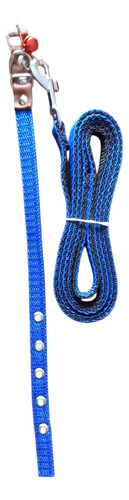 2 Collar Para Perro Chicos Con Correa