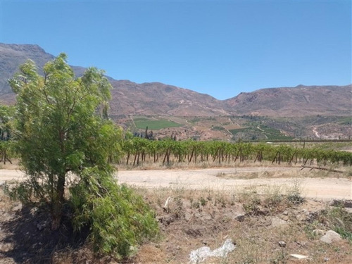 Imagen 5 de 20 de Predio Agua Amarilla, Monte Patria