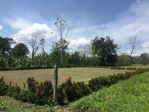 Imagen 2 de 10 de Se Vende Lote 749 M2 La Fortuna San Carlos