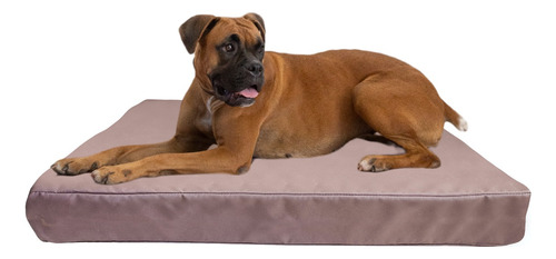 Cama Colchoneta Para Perros Lola Pets Antidesgarro 120x100cm