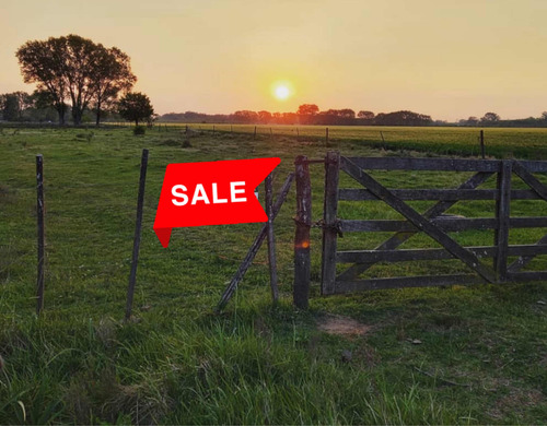 Campo En Venta De 5.28 Hectáreas En San Andrés De Giles