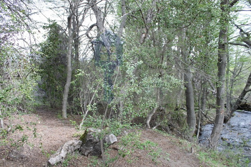 Imagen 7 de 14 de Vendo Lote Con Costa De Arroyo En Meliquina 1