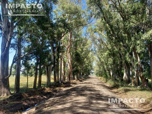 Chacra 2,8 Has - Cañuelas Ruta 3 Km 72