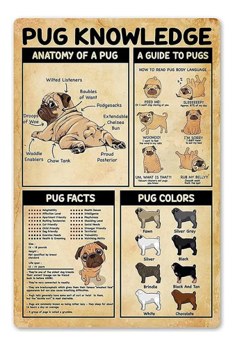 Pug Knowledge - Cartel Divertido De Metal Para La Anatomia D