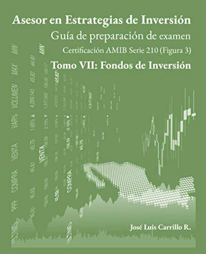 Asesor En Estrategias De Inversion: Tomo Vii: Fondos De Inve