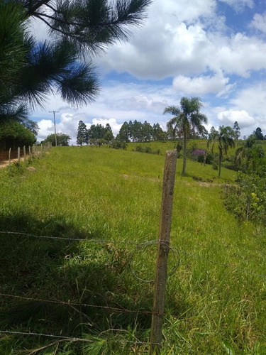 B O Terreno Dos Seus Sonhos.