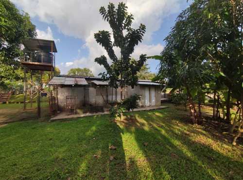 Imagen 25 de 25 de Espectacular Finca En Bejuma Alto De Reyes Carabobo Jc-lp