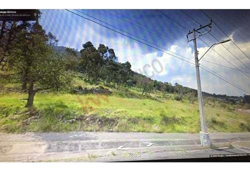 Imagen 6 de 25 de Terreno En La Calle De Guadalupe Victoria, Delegación Santiago Tlaxomulco, Toluca, Mexico, Con U...