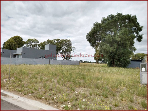 Venta Terreno Con Servicios Barrio La Merced Bahia Blanca