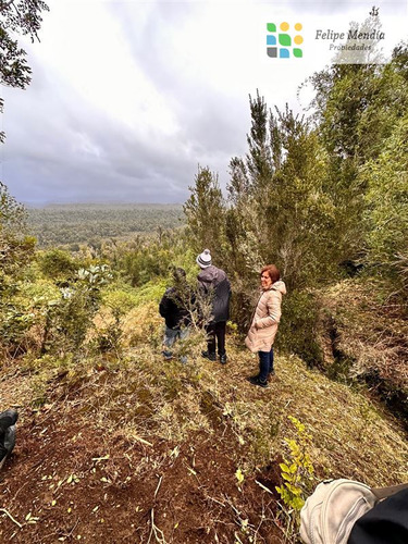 Chiloe: 5.000 Mts. En Parque Privado De Conservacion