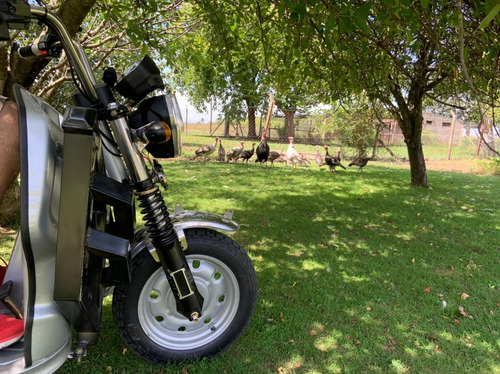 Tricargo Utilitario Holt Artic Electrico Guerrero Sunra Ap