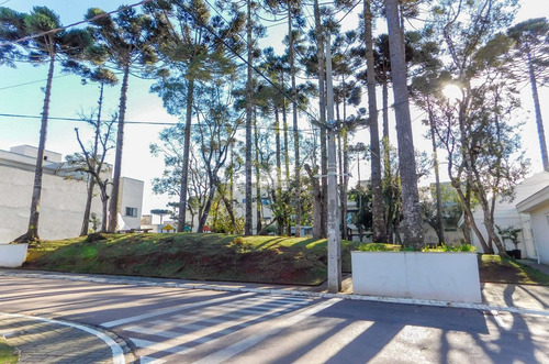 Imagem 7 de 23 de Terreno - Residencial - 926224