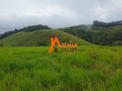 Imagem 24 de 30 de Fazenda - Fa00008 - 70442266