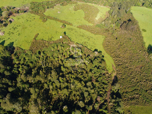 Gran Terreno En Venta Chiloé / Ancud