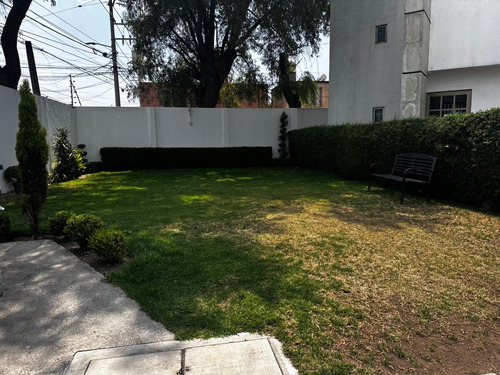En Renta Amplia E Iluminada Casa A Solo 2 Cuadras De Tollocan, Av. Tecnológico Y Las Torres.