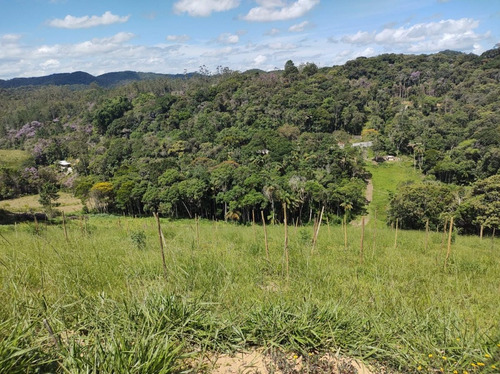 Imagem 12 de 13 de Juquitiba/miracatu/sitio Com Lago E Pasto/ac/entrada+parcelas + Auto/ref: 05358