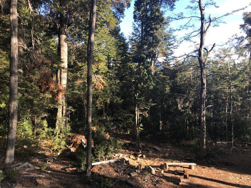 Imagen 7 de 27 de Lote De 3.079m2 En Bº Calfuco A Metros Del Lago Nahuel Huapi, Villa La Angostura