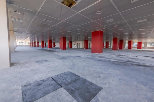 Oficinas En Alquiler | Bouchard 557, Plaza Roma, Caba | 1.636 - 4.560 M²