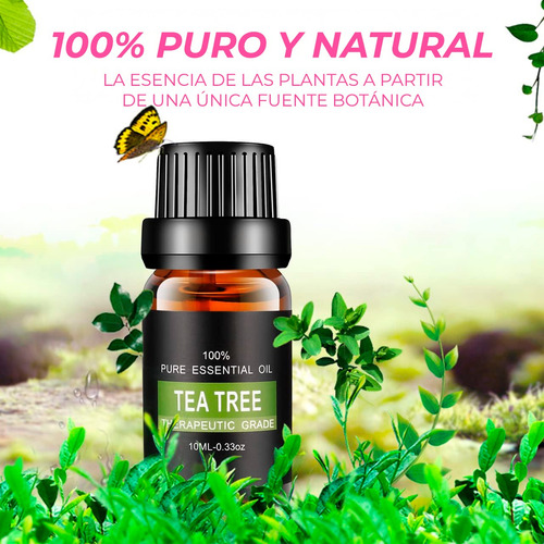 Esencias Para Humidificador Aromáticas Paquete De 6/u
